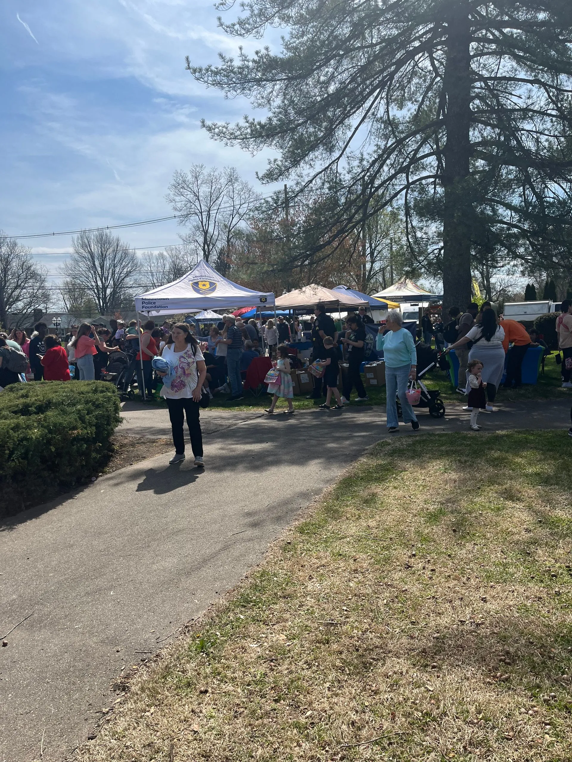 Crowds stroll through park fair with tents and strollers under pine.